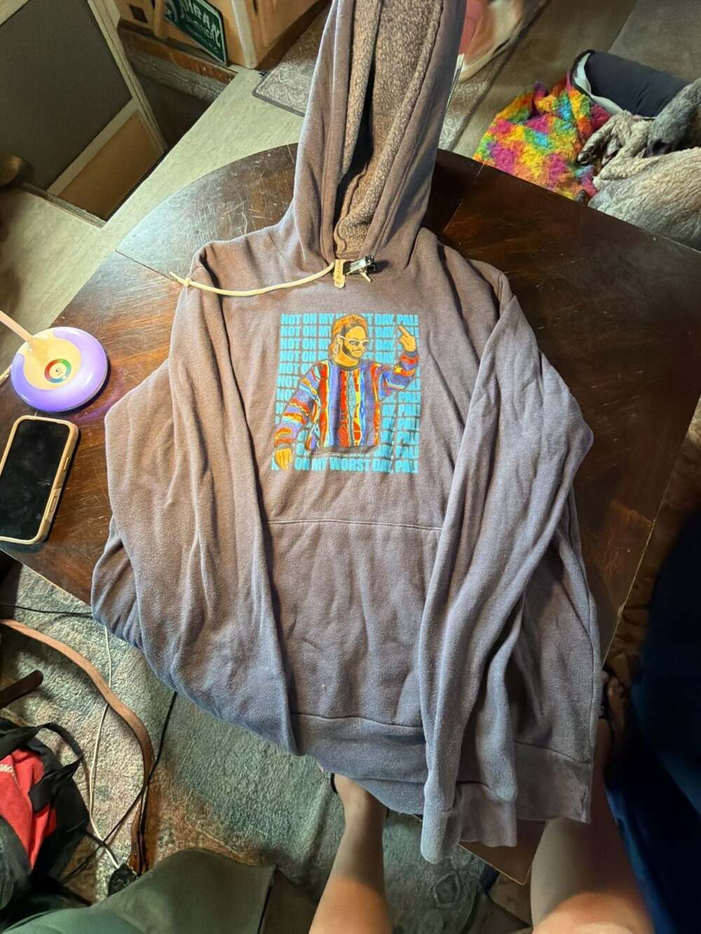 Bella Canvas Not On My Worst Day Pal Graphic Hoodie Size 2XL Grey